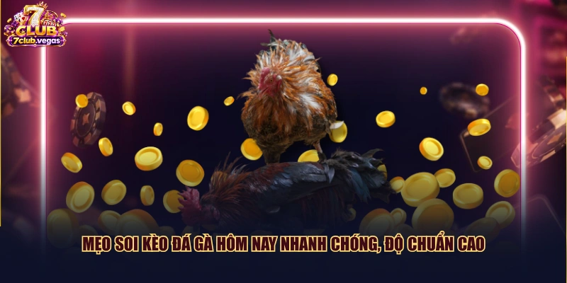Mẹo soi kèo đá gà hôm nay nhanh chóng, độ chuẩn cao
