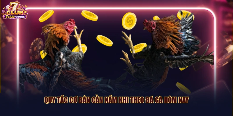 Quy tắc cơ bản cần nắm khi theo đá gà hôm nay